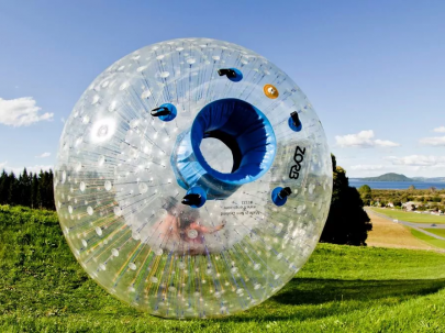 ZORB-Image